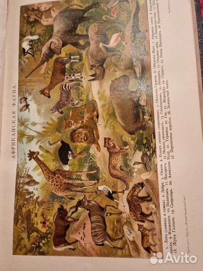 Новый энциклопедический словарь Брокгауз и Ефрон