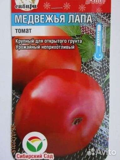 Рассада Помидоры Перцы Капуста Баклажаны Огурцы