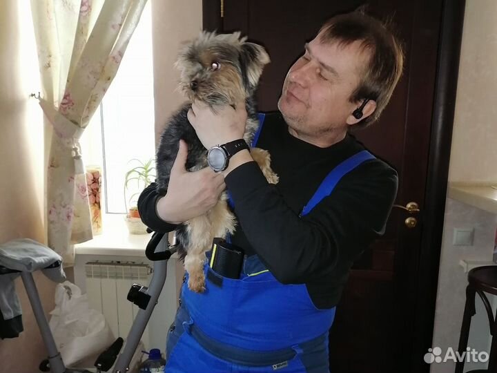 Ремонт стиральных машин ремонт холодильников