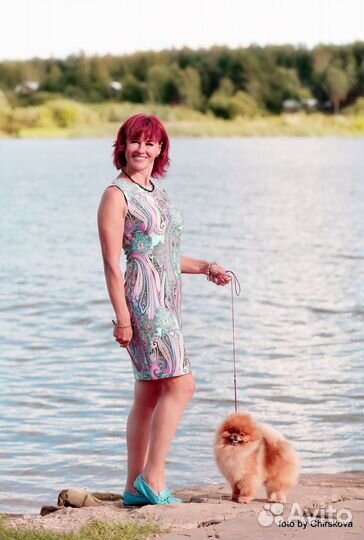 Грумер стрижка собак