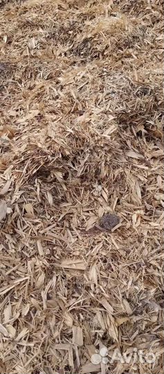 Опилки. Стружка