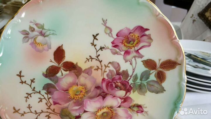 Тарелка с цветками шиповника Schumann Arzberg