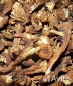 Грибы сушёные и солено-отварные