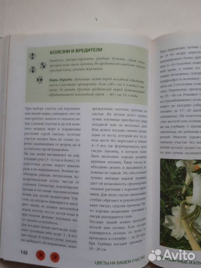 Книга Цветы на вашем участке