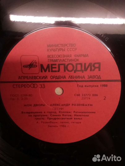 Александр Розенбаум Мои Дворы