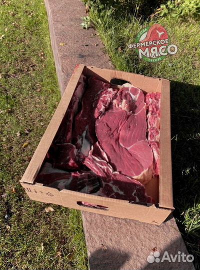 Мясо говядина