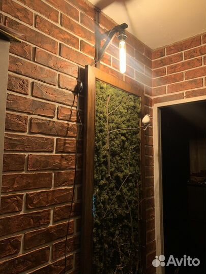 Панно из стабилизированного мха