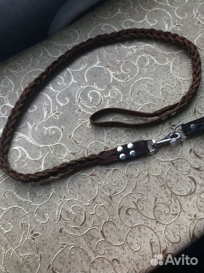 Поводок и ошейник