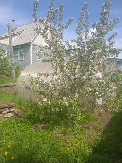 Дом 108 м² на участке 24 сот.