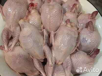 Мясо перепелов и яйцо столовое и инкубационное