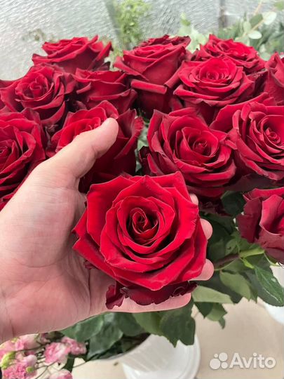 Букет свежих голландских роз