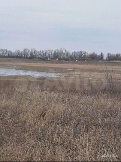 Участок 35 га (СНТ, ДНП)