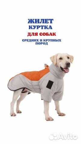 Куртка для с�обаки