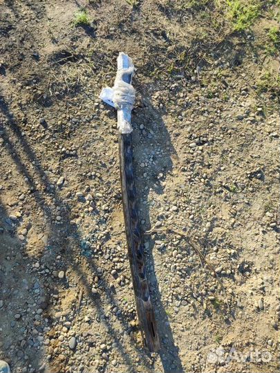 Усилитель бампера задний Nissan X-Trail T31