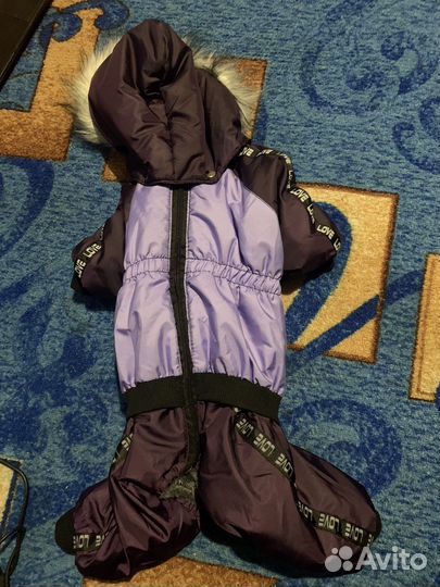 Одежда для собак