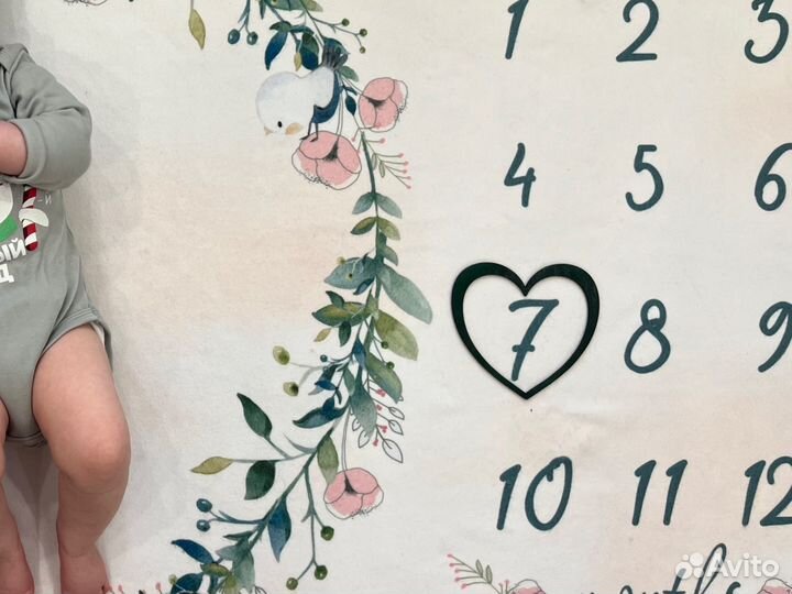 Плед по месяцам детский для фото