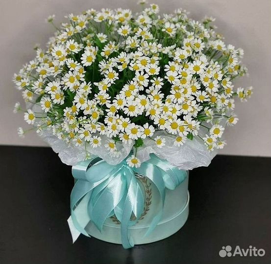 Ромашки Пионы Розы Доставка