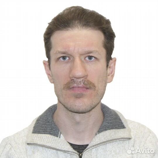 Инженер программист