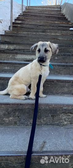 10 месяцев Мальчик