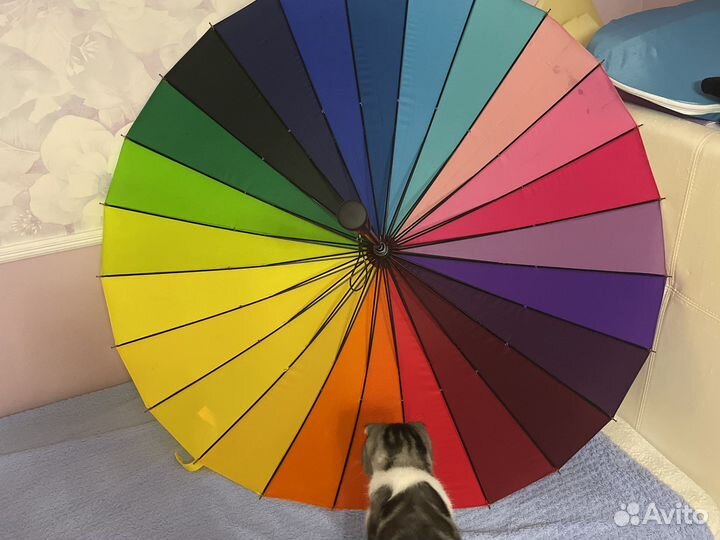 Зонт для фотосессии