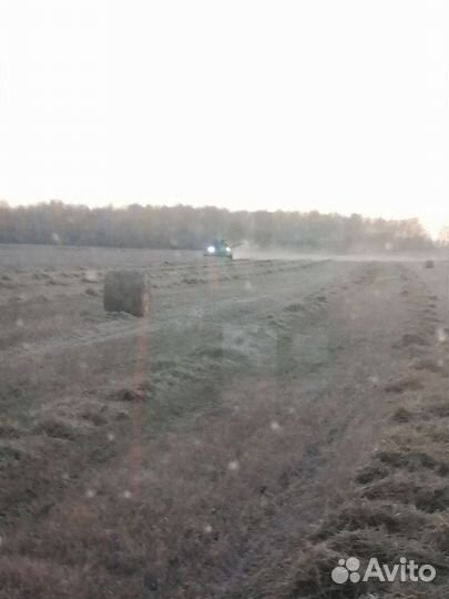 Ячмень и, солома