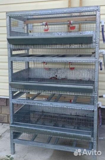 Клетки для кур