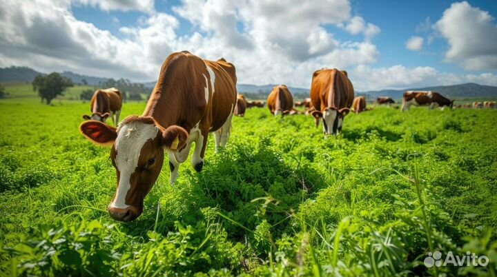 Оператор машинного доения Вахта Татарстан 15/15