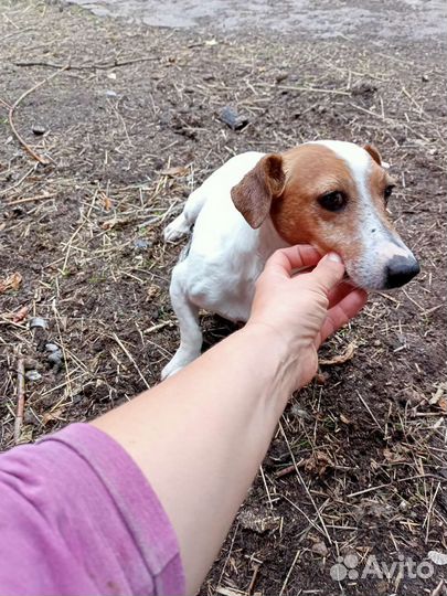 Девочка суперская