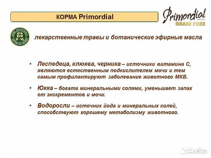 Холистик корма для кошек Primordial (Италия)