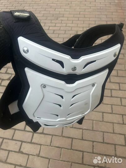 Моточерепаха