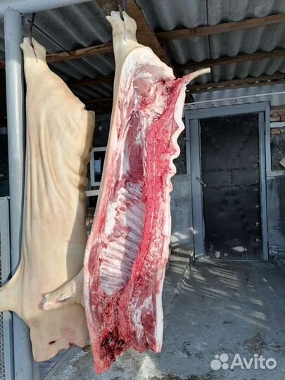 Продам деревенское мясо свинина
