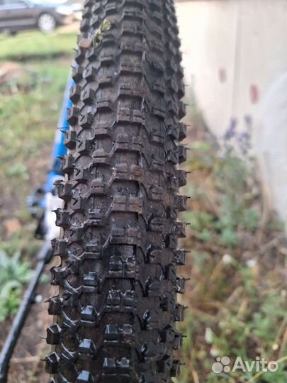 Mongoose tyax