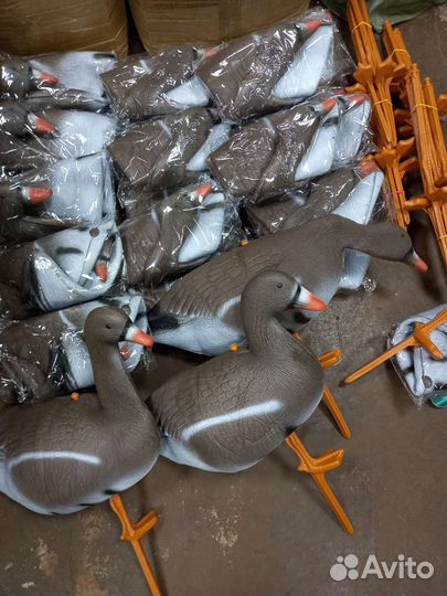 Чучела гуся (30 шт) с Авито Доставкой