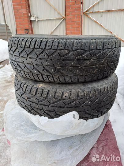 Tigar Ice 165/65 R15