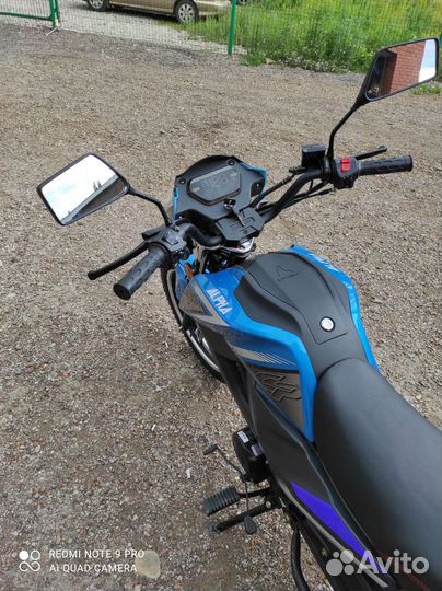 Мопед alpha rs 12 champ