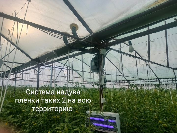 Участок 25 сот. (ИЖС)