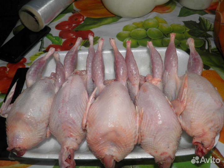 Мясо яйца перепелов