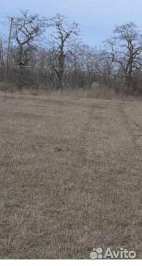 Ищу партнера