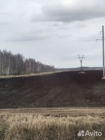 Почвогрунт. Чернозём