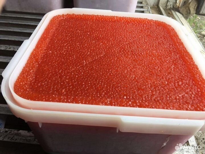 Икра Кеты оптом