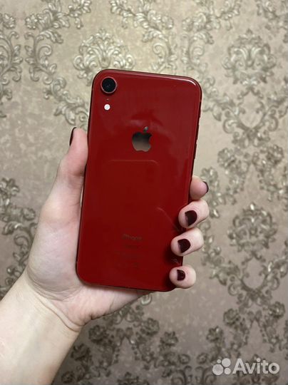 Читайте текст