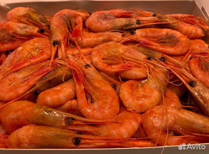 Креветка северная. Крупные. Свежие