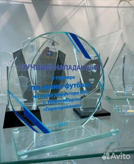 Награды / Призы / Под заказ из стекла