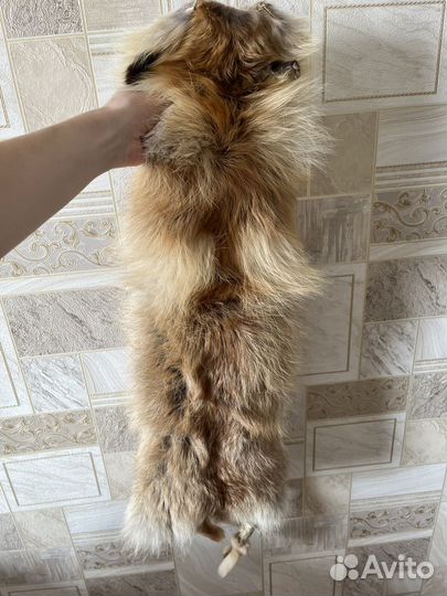 Шкурка лисы