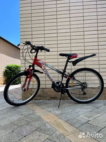 Велосипед Stinger Caiman 24