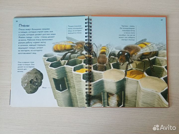 Книги для детей набором