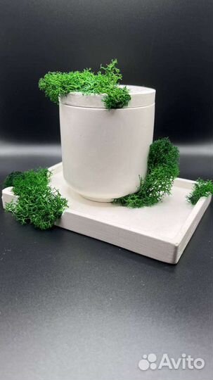 Гипсовое кашпо/поднос/стабилизированный мох/свеча