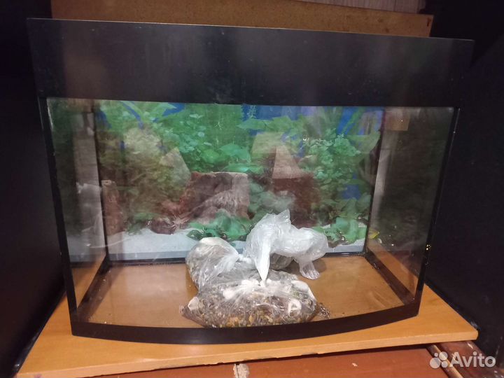 Аквариум