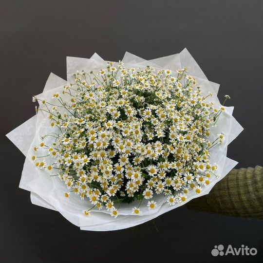 Бесплатная доставка цветов