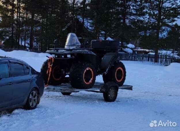 Сокол